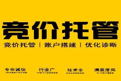 托管竞价SEM：助力企业实现营销目标